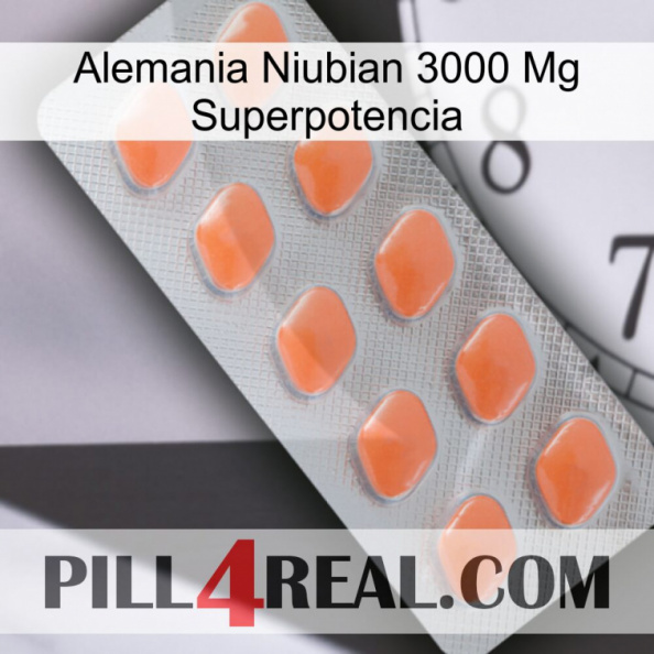 Germany Niubian 3000 Mg Superpower 26.jpg